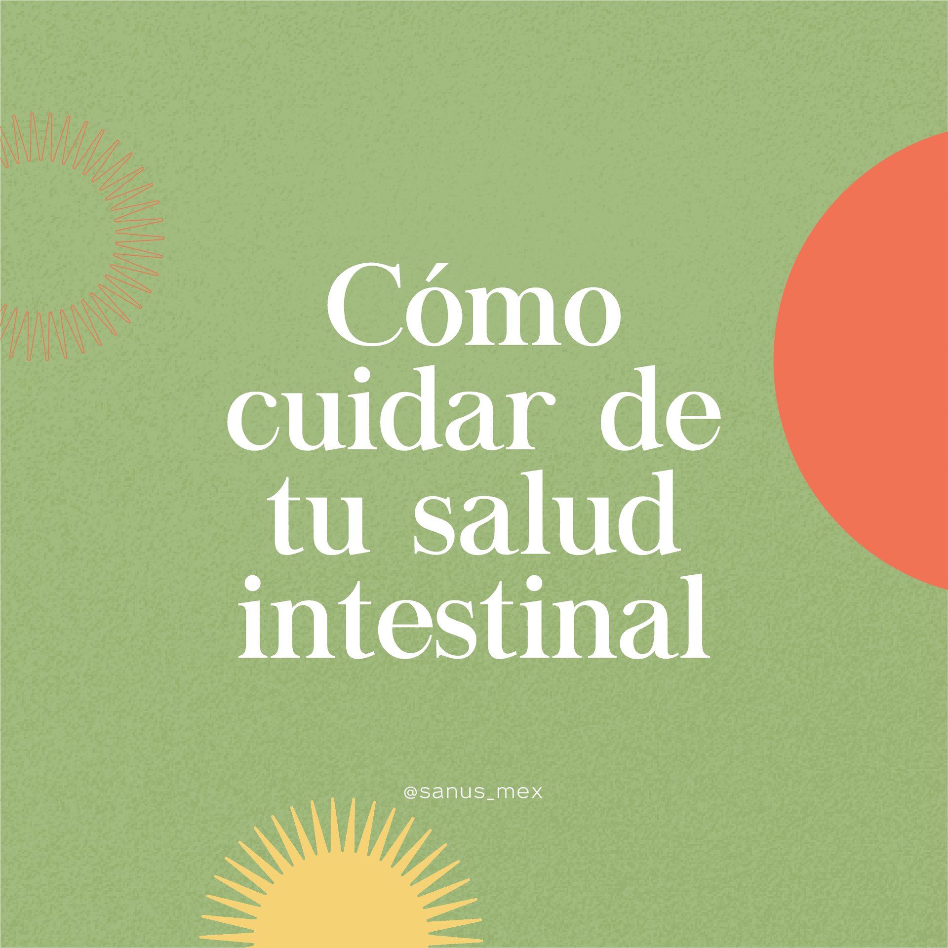 ¿Cómo cuidar de tu salud intestinal?